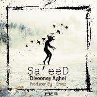 Saeed - Divooney Aghel