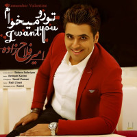 Amir Fallahzade - Toro Mikham