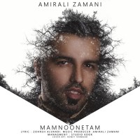 Amirali Zamani - Mamnonetam