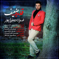 Farshad Mirzapoor - Ghalbe Zaeif