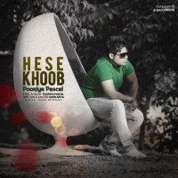 Pooria Pascal - Hesse Khoob