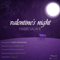 Habib Salahi - Valentines Night