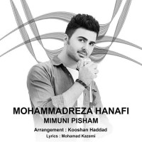 Mohammadreza Hanafi - Mimooni Pisham