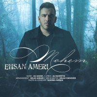 Ehsan Ameri - Mohem