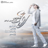 Amir Hossein Nokhiz - Royaye Shirin