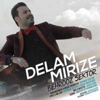 Behrooz Sektor - Delam Mirize