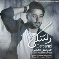 Hamid Nourmohammadi - Deltangi