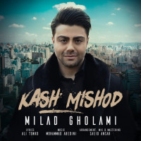 Milad Gholami - Kash Mishod