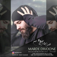 Mohammadreza Zeidi - Marde Divooneh