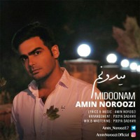 Amin Noroozi - Midoonam