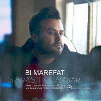 Siavash Ghamsari - Bimarefat