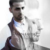 Amin Fayyaz - Divoonatam