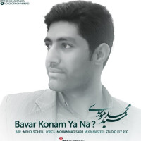 Mohammad Mousavi - Bavar Konam Ya Na