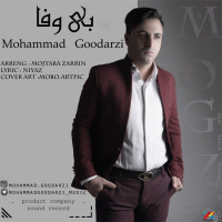 Mohammad Goodarzi - Bivafa