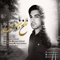 Morteza Bahiraei - Talkho Shirin