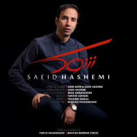 Saeid Hashemi - Shock