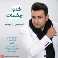 Amir Abbas Alehabib - Shabe Cheshmat