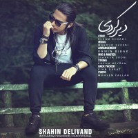 Shahin Delivand - Dir Kardi