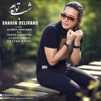 Shahin Delivand - Shabe Tavalodam