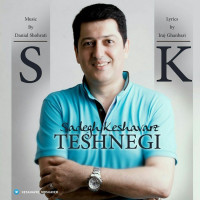 Sadegh Keshavarz - Teshnegi
