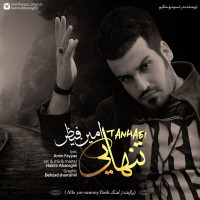 Amin Fayyaz - Tanhaei