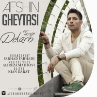 Afshin Gheytasi - Delam Tange