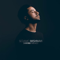 Shayan Farhadi - Sedamo Mishnavi