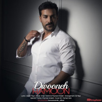 Hamoon - Divooneh