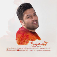 Pouya Bayati - Gooshet Ba Mane