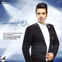 Iman Sedighi - Del Too Delam Nist