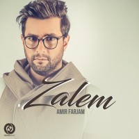 Amir Farjam - Zalem