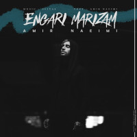 Amir Naeimi - Engari Marizam