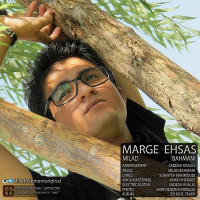 Milad Bahmani - Marge Ehsas