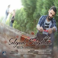 Reza Saeedi - Salgarde Eshghemoon