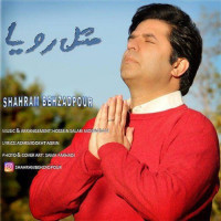 Shahram Behzadpour - Mesle Roya