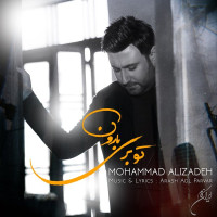 Mohammad Alizadeh - To Beri Baroon