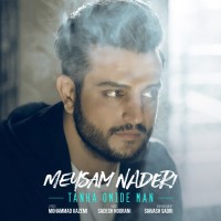 Meysam Naderi - Tanha Omide Man