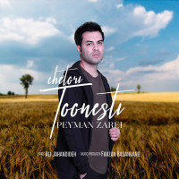 Peyman Zarei - Chetori Toonesti