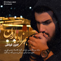 Amin Fayyaz - Hamzade Baroon