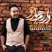 Reza Gholami - Daram Havato