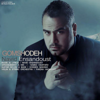 Navid Ensandoost - Gomshodeh