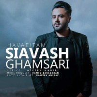 Siavash Ghamsari - Havaeitam