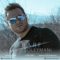 Javid Soleymani - Barf