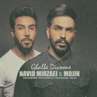 Navid Mirzaie & Mojin - Ghalbe Divoone