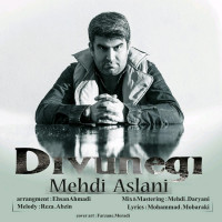 Mehdi Aslani - Divoonegi