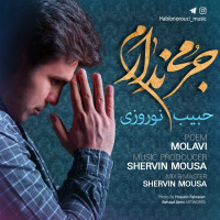 Habib Norouzi - Jormi Nadaram