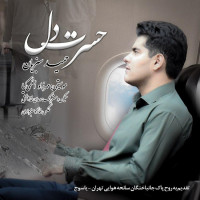 Hamid Sabziyan - Hasrate Del