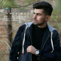 Amir Bot - To Nadoonessi 2