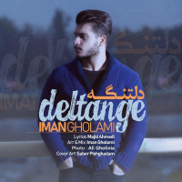 Iman Gholami - Deltange