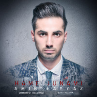 Amin Fayyaz - Hame Joonami